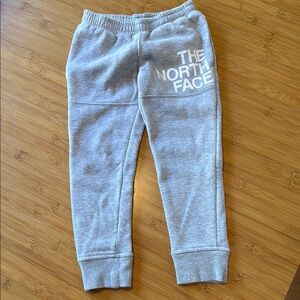 The North Face Kids Gray Joggers